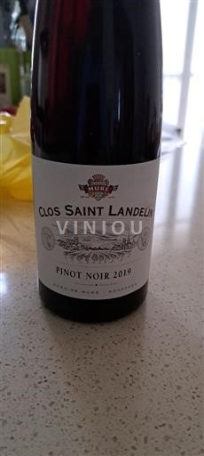 Vin Rouge sec Domaine Muré 2019 France Alsace