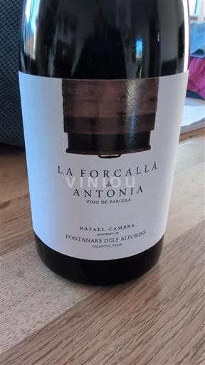 Galice Rafael Cambra La Forcallà de Antonia 2023