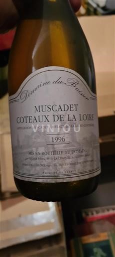Valle della Loira Muscadet-Coteaux-de-la-Loire Domaine Buisson 1996
