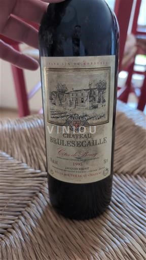 Bordeaux Côtes-de-bourg Château Brulesécaille 1995