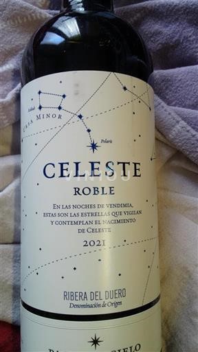 Castile and León Ribera del Duero Roble 2021