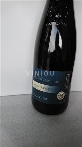 Loiredalen Saumur-champigny Domaine Bois Mozé Pasquier 2019