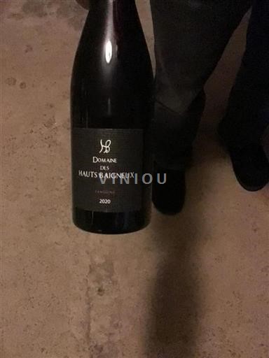 Dolina Loare Touraine Domäne Des Hauts Baigneux Sanguine 2020