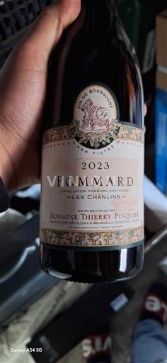 Bourgogne Pommard Grand Cru Domaine Thierry Pinquier Les Chanlins 2023
