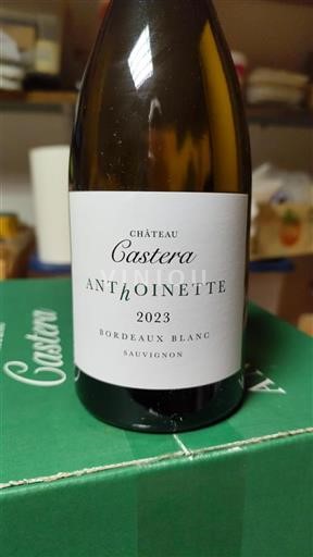 Bordeaux Bordeaux White Domaine Castera Anthoine 2023