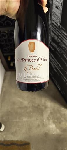 Languedoc Unspecified Domaine La Terrasse Elise Le Pradel 2020