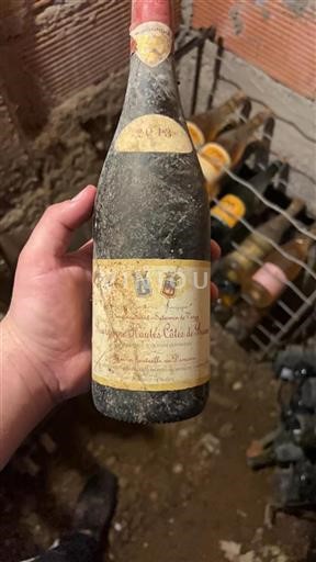 Burgundi Beaunen Ylämaat Domaine Saint Saturnin De Vergy 2013