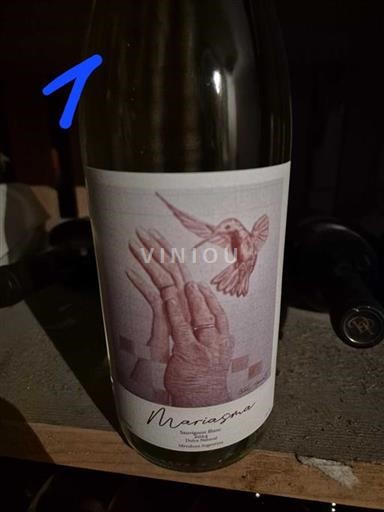 Mendoza Não especificado Mariasma 2024