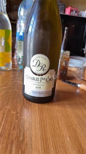 Bourgogne Ikke specificeret Premier Cru Domaine Denis Race Montmains 2006