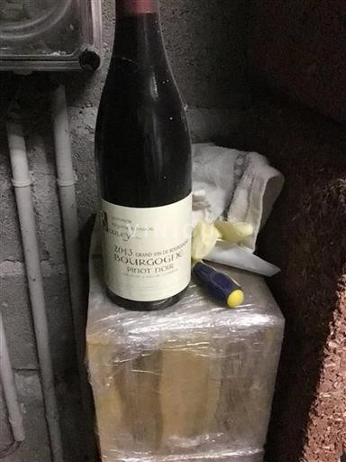Bourgondië Bourgogne Domaine Roger & Pascal Bouley 2013