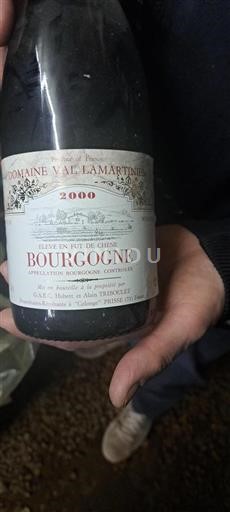 Bourgogne Domaine Val Lamartinien 2000