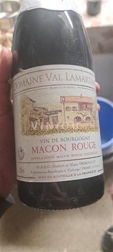 Bourgogne Mâcon et mâcon-villages Domaine Val Lamartine Non Millésimé