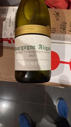 Burgundy Bourgogne Aligoté Augustin Florent 2023
