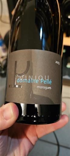 Loire Valley Menetou-Salon Domaine Pellé Morogues 2023