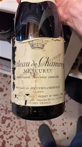 Borgogna Mercurey Château Chamirey 1998