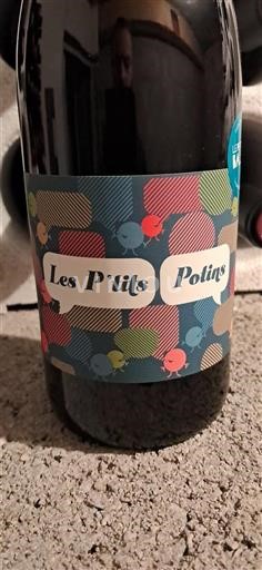 Vallée du Rhône Les Vins De Vienne Les P'tits Potins Non Millésimé