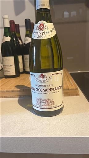 Bourgogne Premier Cru Bouchard Père & Fils Clos Saint-Landry 2009