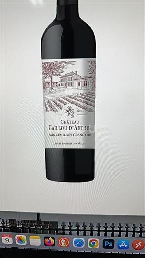 Bordeaux Saint-Émilion Grand Cru Grand Cru Château Caillou Arthus 2022