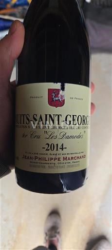 Bourgogne Nuits-saint-georges Premier Cru Jeanphilippe Marchand Les Damodes 2014