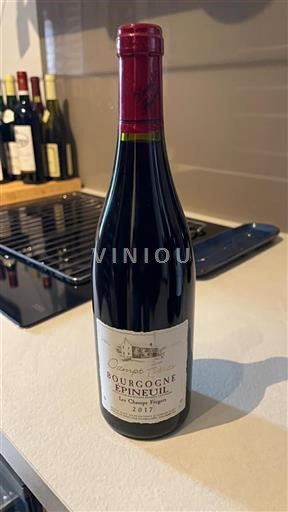 Borgogna Bourgogne Epineuil Damp Frères Les Champs Frégers 2017