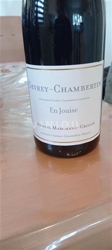 Bourgogne Gevrey-chambertin Grand Cru Domaine Marchandgrillot En Jouis 2021