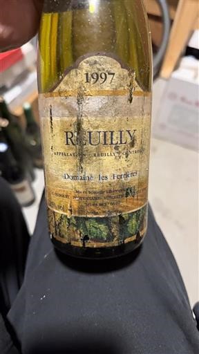 Valle della Loira Reuilly Domaine Les Ferrières 1997