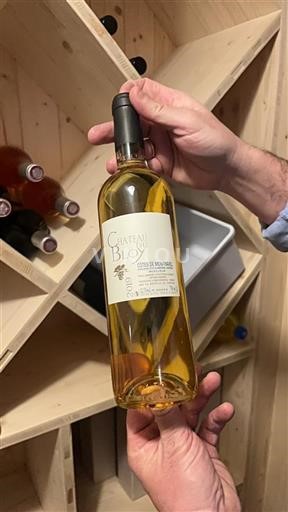 Sudoeste Côtes-de-montravel Château Bloy 2019