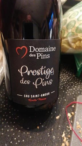 Beaujolais Saint-Amour Domaine Des Pins Prestige des Pins Niet-geïntegreerd