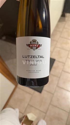 Alsace Pinot Grigio Domaine Muré Lutzeltal 2022