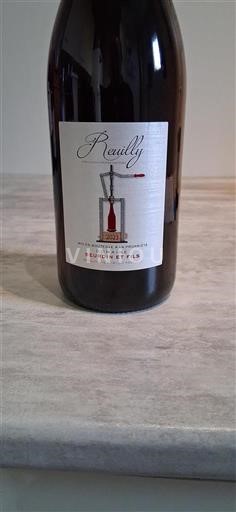 Vallée de la Loire Reuilly Domaine Beurdin Et Fils 2023