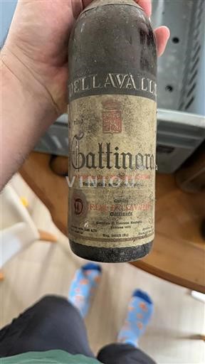 Toscana Non specificato Fattoria Del Colle Butimoro 1970