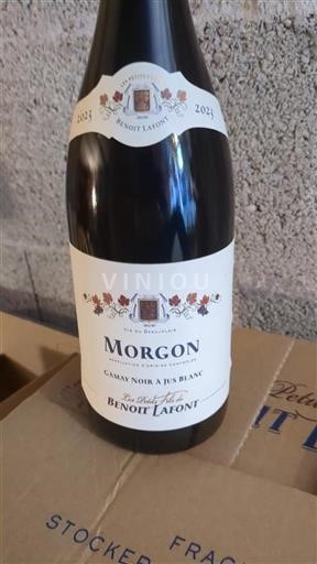 Beaujolais Morgon Les Petitsfils De Benoît Lafont 2023