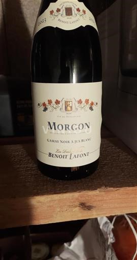 Beaujolais Morgon Les Petitsfils De Benoît Lafont 2023