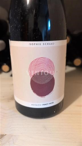 Elsass Pinot Noir Sophie Schaal Ohne Jahrgang