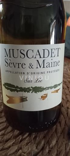 Vin Blanc sec Sur Lie 2023 France Vallée de la Loire Muscadet-sèvre-et-maine AOC
