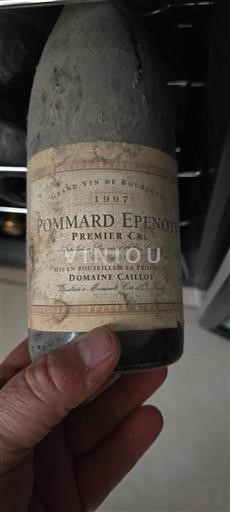 Borgogna Pommard Premier Cru Domaine Caillot Epenots 1997