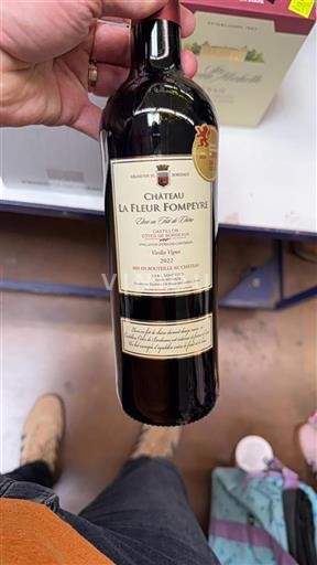 Bordeaux Castillon-côtes-de-bordeaux Château La Fleur Fompeyre Vieilles Vignes 2022