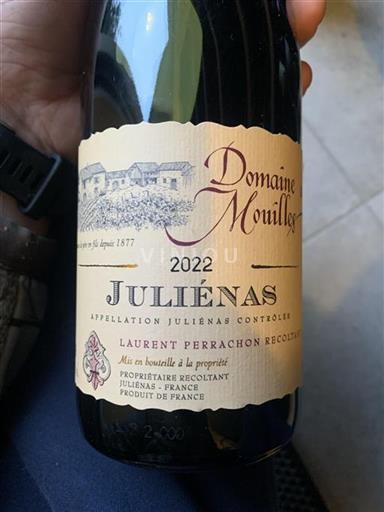 Beaujolais Juliénas Domaine Des Mouilles 2022