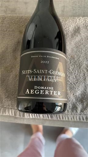 Burgundy Nuits-Saint-Georges Aegerter Les Plateaux 2022