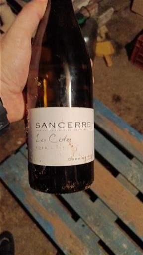 Loire Valley Sancerre Domaine Riffault Les Côtes 2022