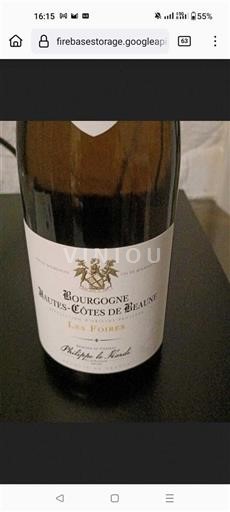 Bourgogne Hautes Côtes de Beaune Grand Cru Château Philippe Le Hardi Les Foires 2022