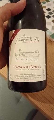 Valle della Loira Coteaux-du-giennois Domaine Poupat & Fils Rivotte Senza annata