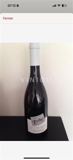 Valle del Loira Sancerre AOP / AOC Clement Et Floriant Berthier Les Chasseignes 2012