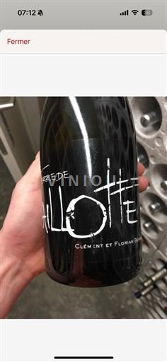 Valle della Loira Coteaux-du-giennois AOP / AOC Clement Et Floriant Berthier Terre De Caillotes 2013