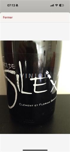 Valle della Loira Coteaux-du-giennois AOP / AOC Clement Et Floriant Berthier Terre De Silex 2013