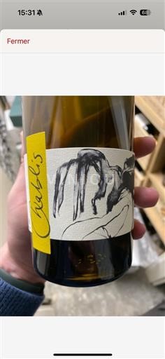 Bourgogne Chablis (blank) Domaine Pattes Loup Vent D'Ange 2019