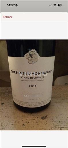 Borgogna Chassagne-Montrachet 1er Cru Domaine Lamypillot Chassagne-Montrachet 1er Cru Boudriotte 2011