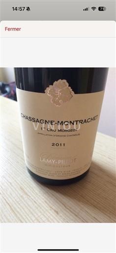 Borgogna Chassagne-Montrachet AOP / AOC Domaine Lamypillot Chassagne-Montrachet 1er Cru Morgeot 2011