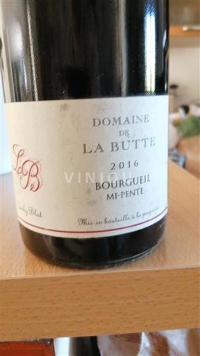 Valle della Loira Bourgueil Domaine La Butte Mi-Pente 2016