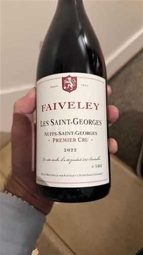 Bourgogne Nuits-saint-georges Premier Cru Domaine Faiveley Les Saint-Georges 2022